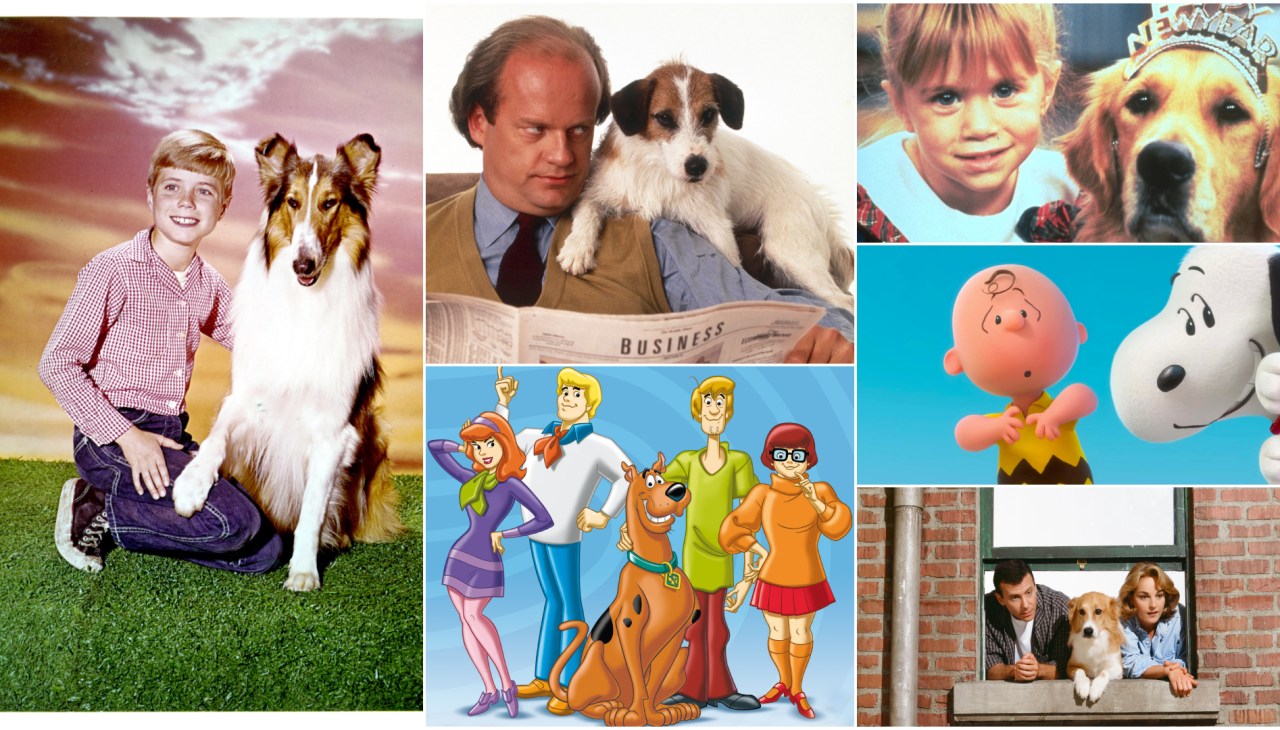 Clockwise from left: Lassie, Frasier, Full House, Peanuts, Mad About You and Scooby-Doo