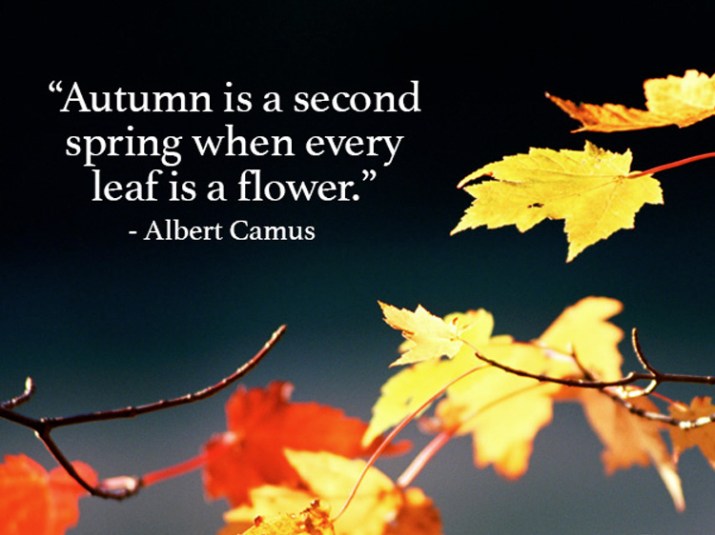 fall season quotes