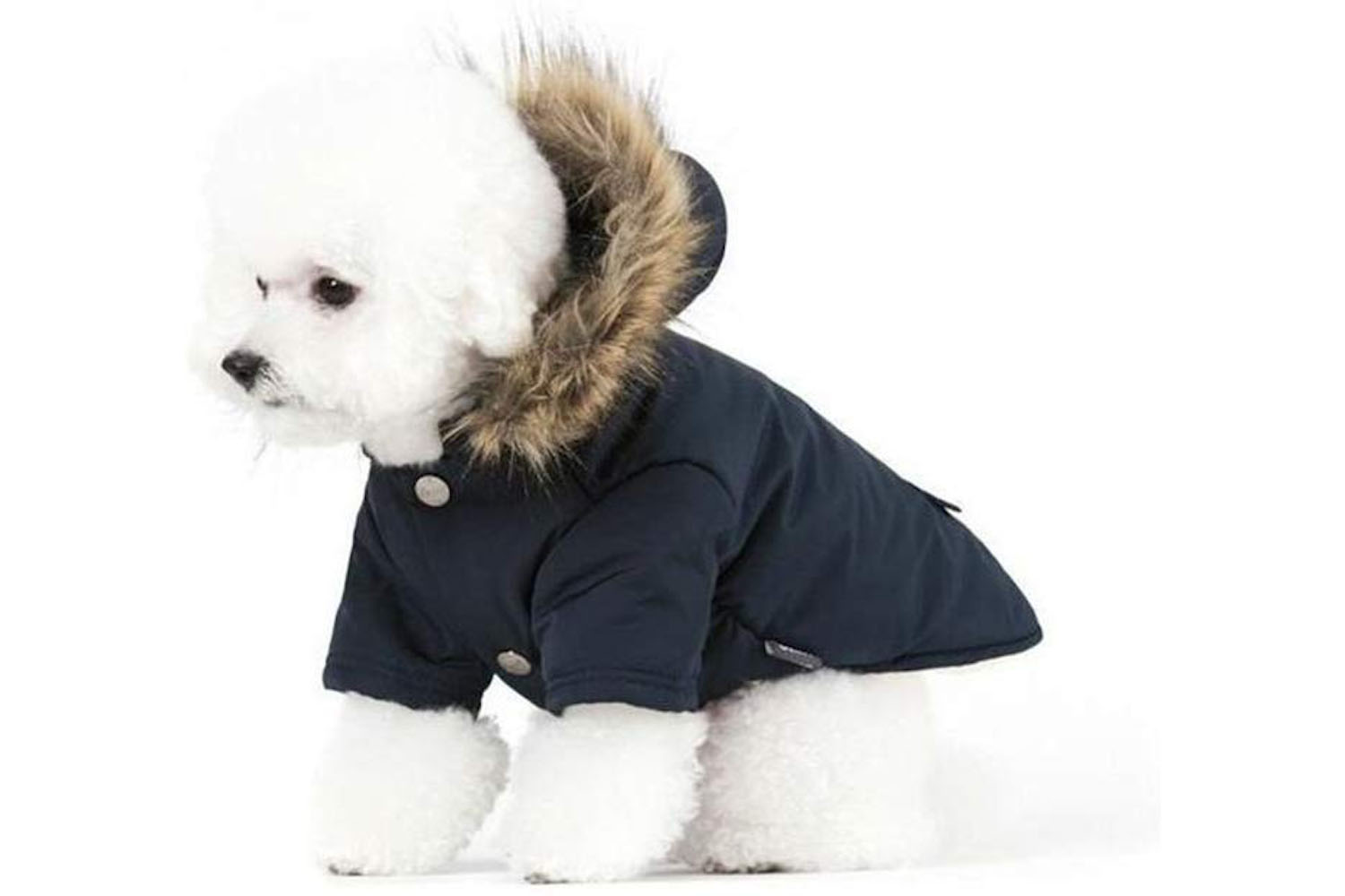 puppy coat