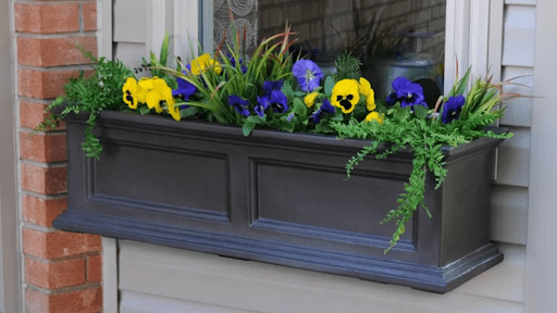 Best window box planters