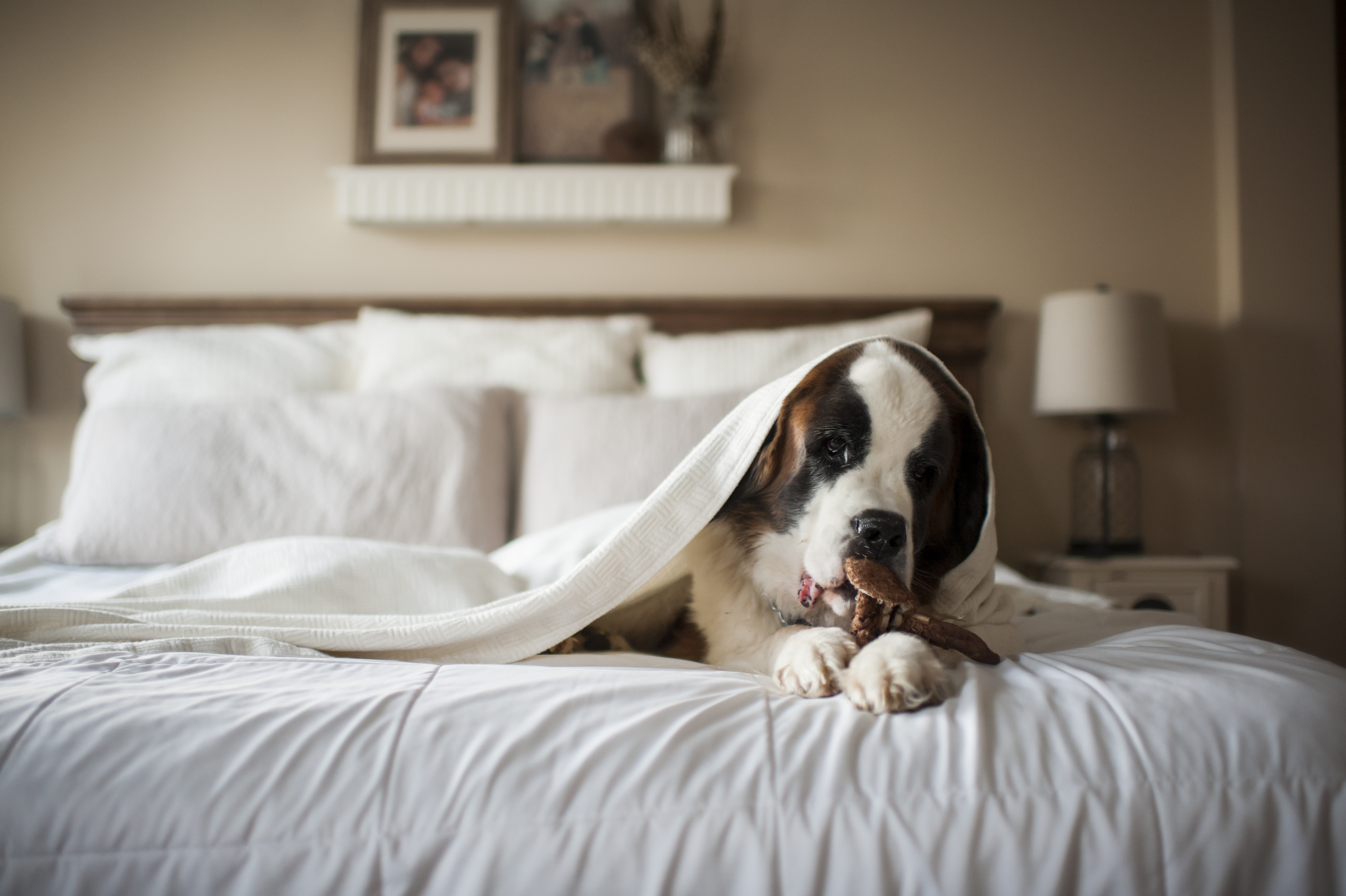 How often should you change your bed sheets?