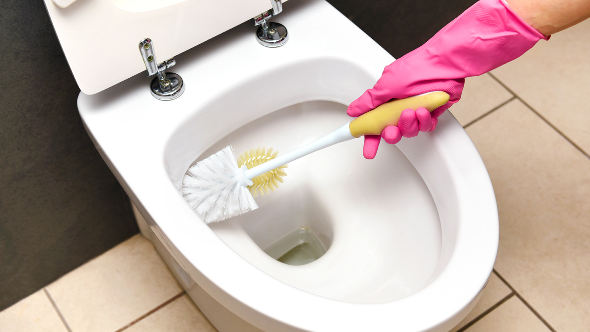 How To Get Rid Of Toilet Mold 