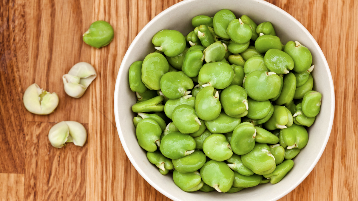 Bowl of bright green fava beans
