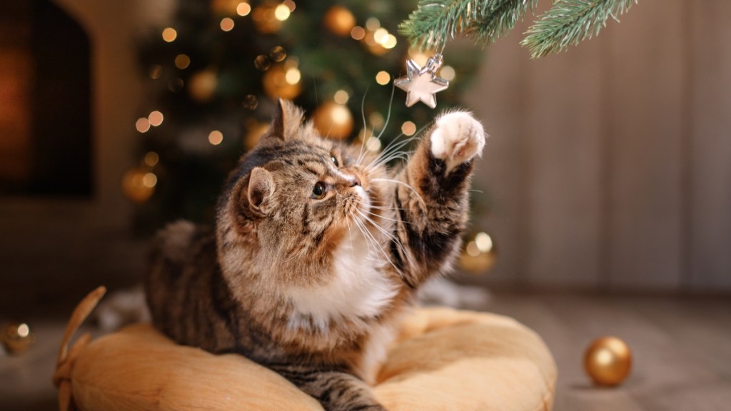 How to Keep Cats Out of Christmas Trees