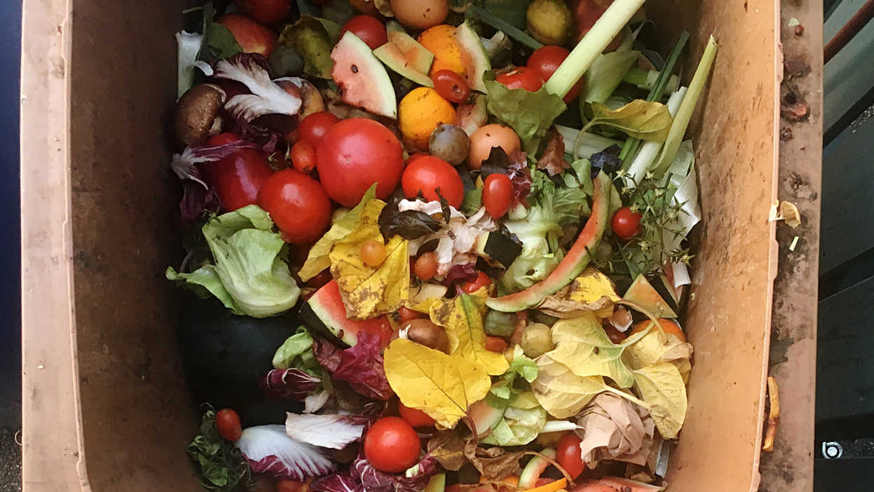 6 Common Food Scraps You Should Stop Throwing Away Today