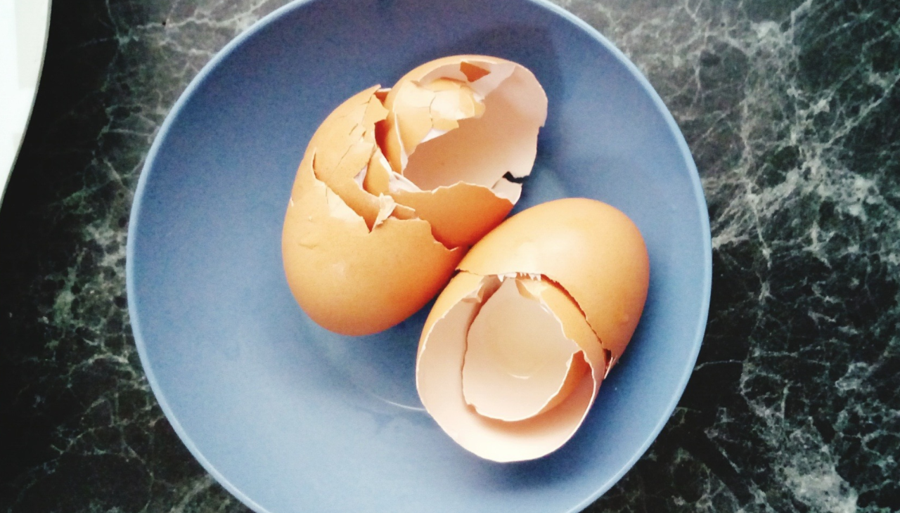 broken eggshells in a bowl