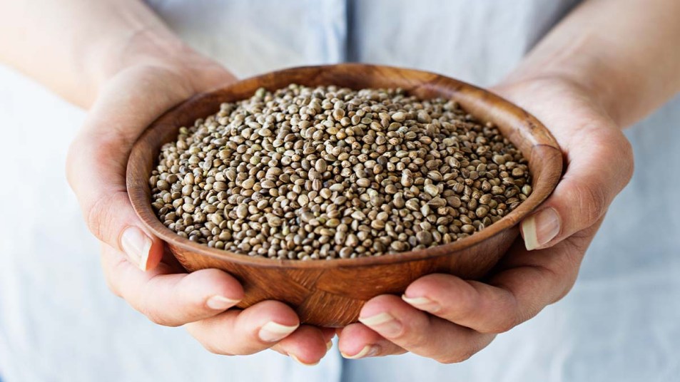 Hemp Seeds Offer Superfood Benefits That You Could Be Missing Out On