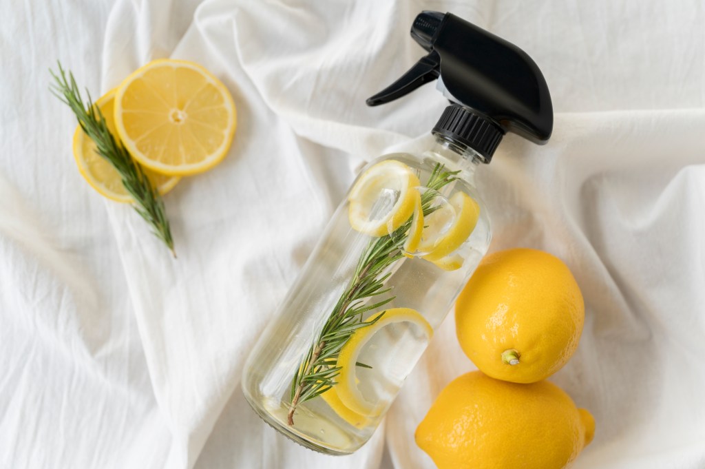 10 Best Ways To Use Up Leftover Lemons