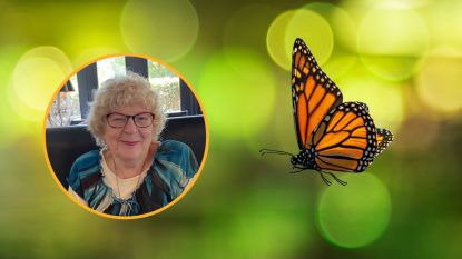 Christianne Henderson featured photo with butterfly angel