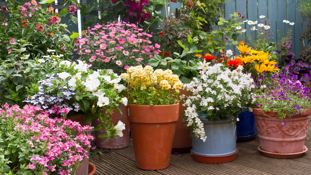 Budget Small Garden Ideas: Turf Wall, Plant Ladder, More | Woman's World