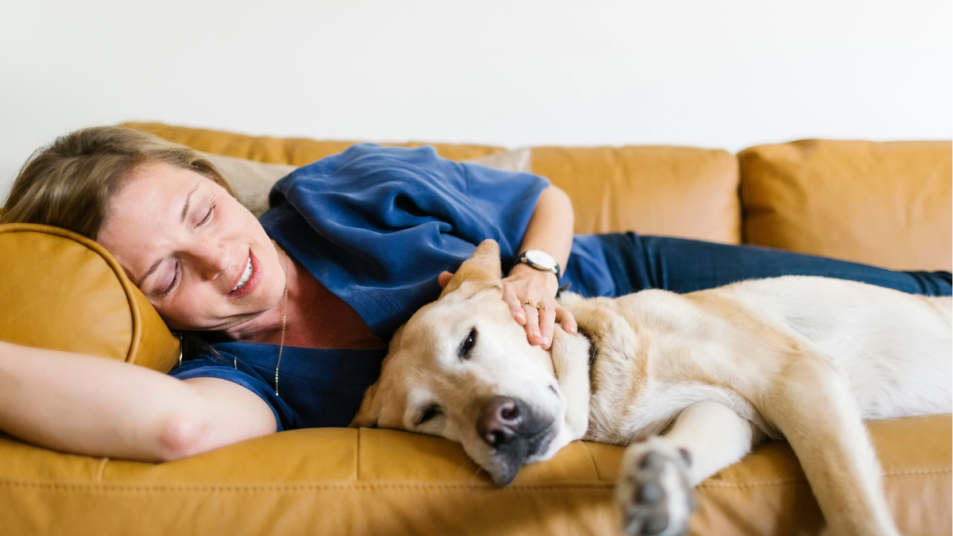 A woman lies on her couch with her labrador retriever. These dogs are on the list of super clingy dog breeds.