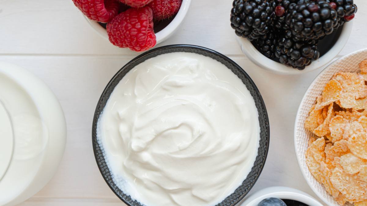 Benefits of Yogurt: Is it good to eat yogurt every day?