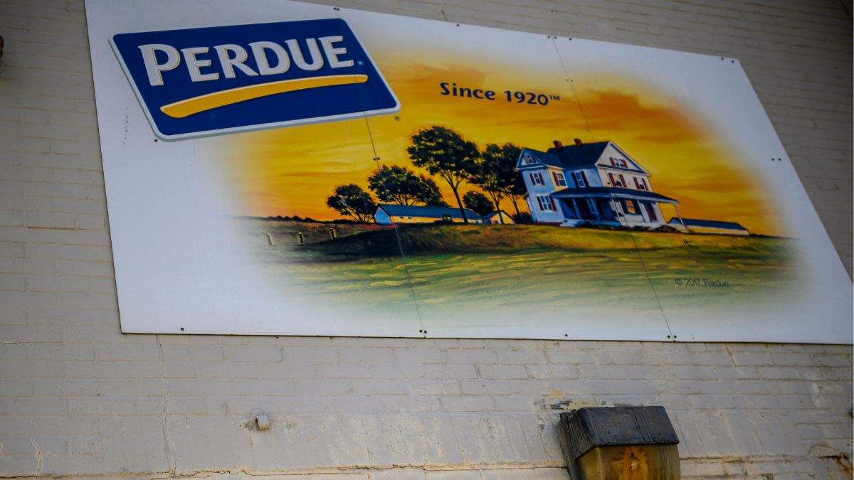 Perdue Recalls Over 167K Pounds of Chicken Products What to Do Woman