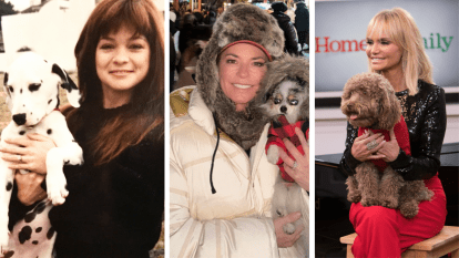 Celebrity dogs, left to right: Valerie Bertinelli, Shania Twain and Kristin Chenoweth with their dogs