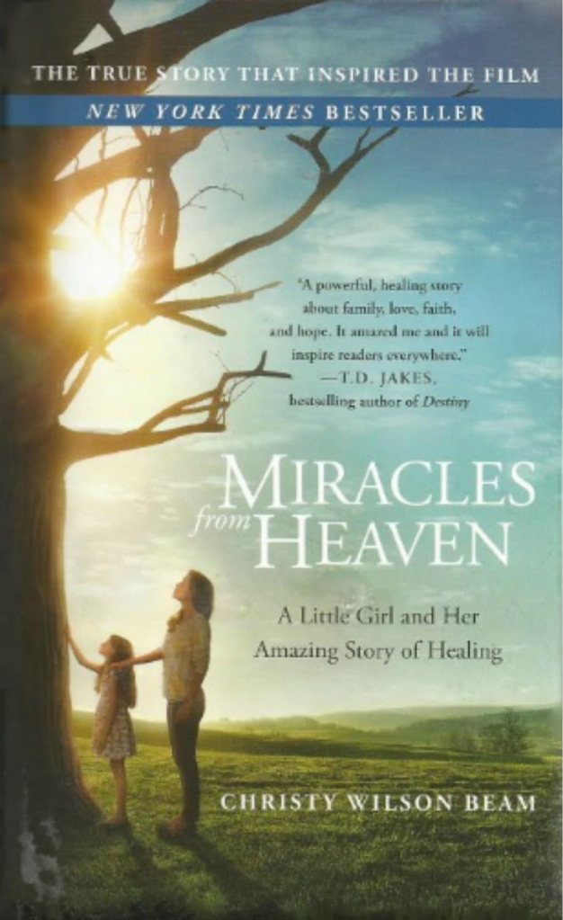 Miracles From Heaven by Christy Beam 
(christian movies based on books) 