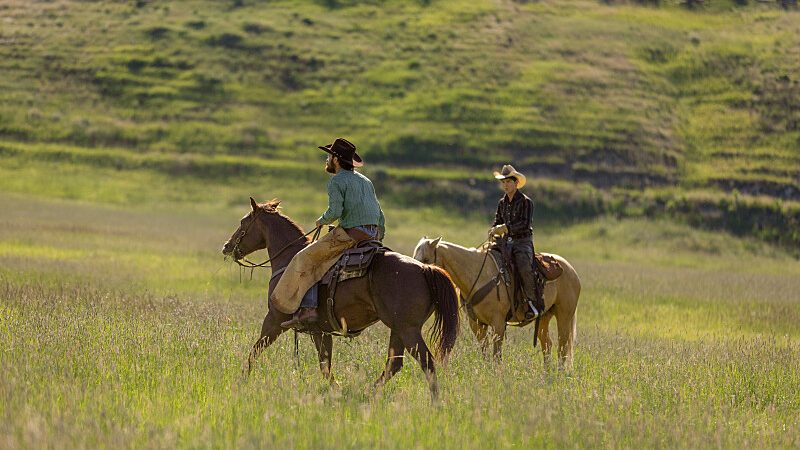 A scene from Yellowstone