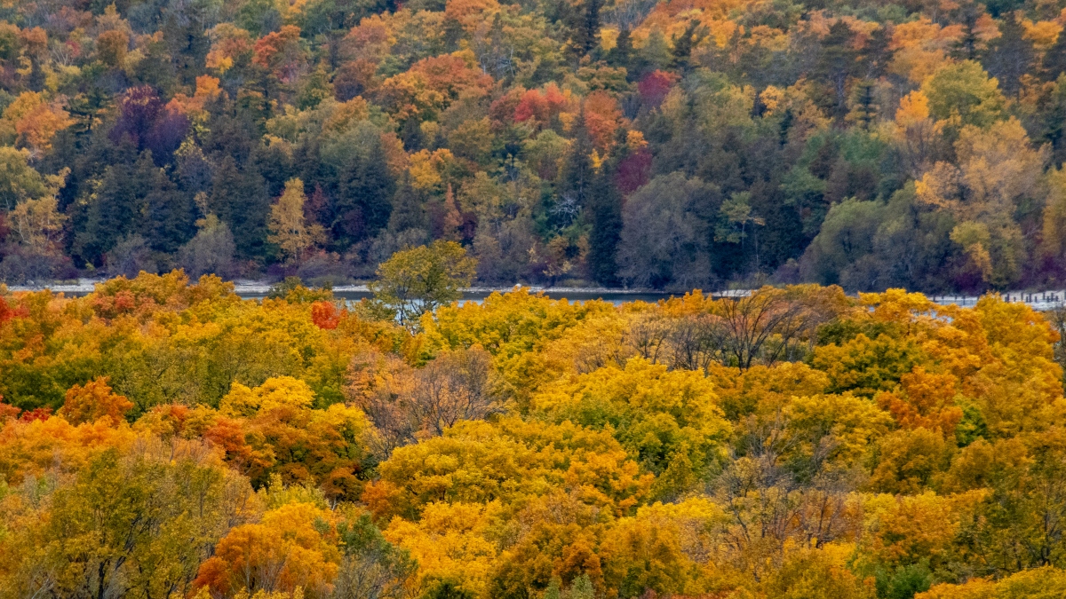Door County, WI