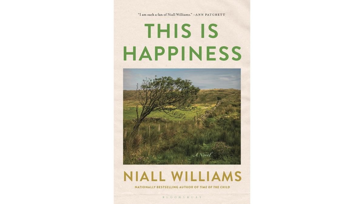 The book cover for