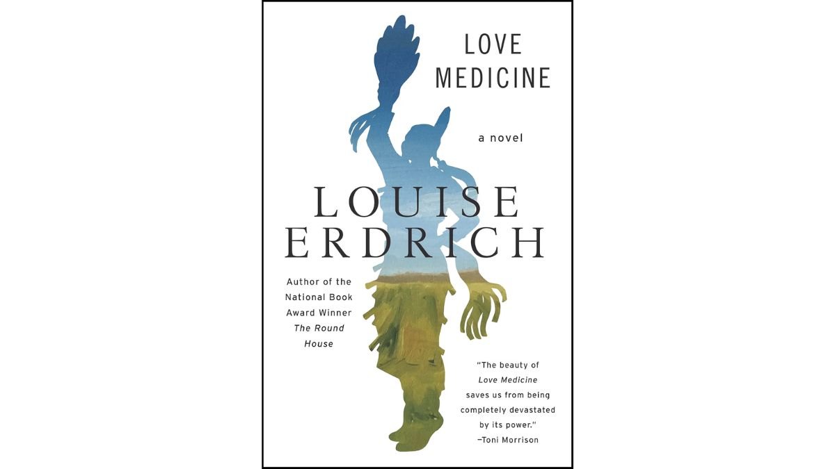 The book cover for