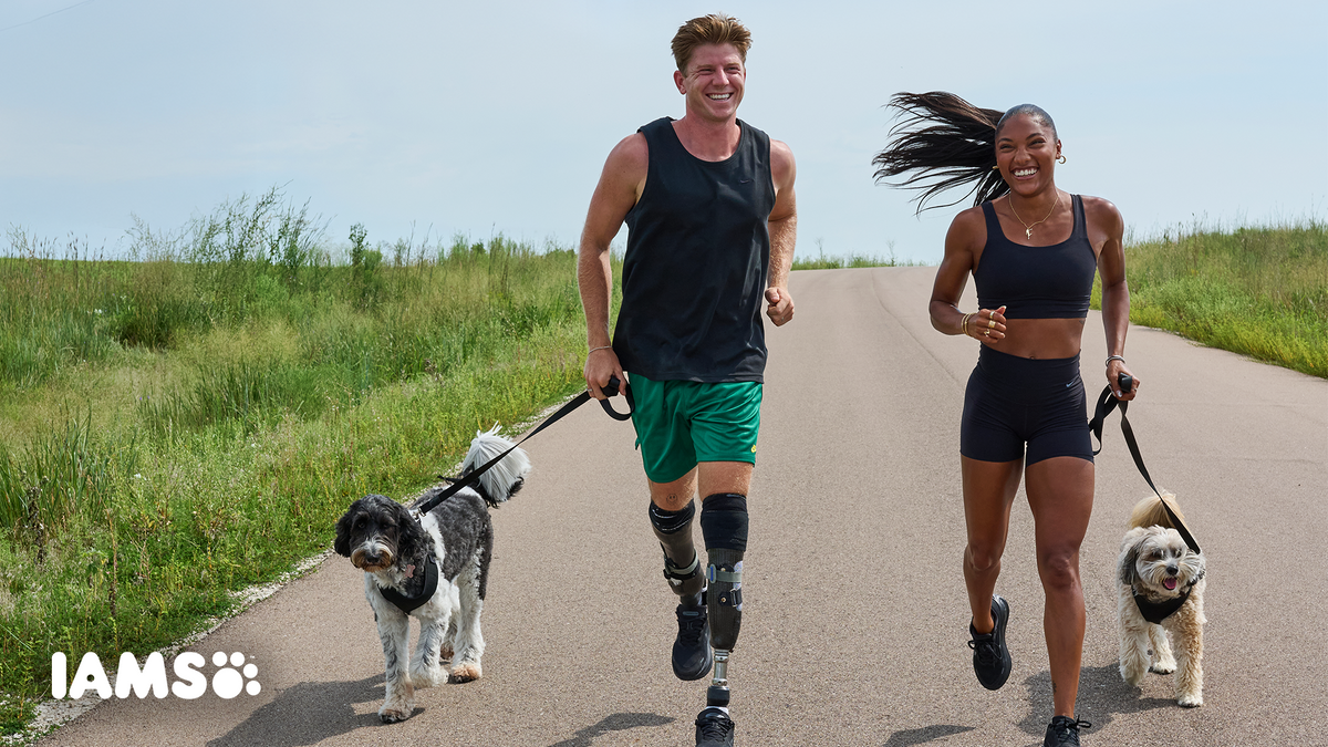 Running With Dogs