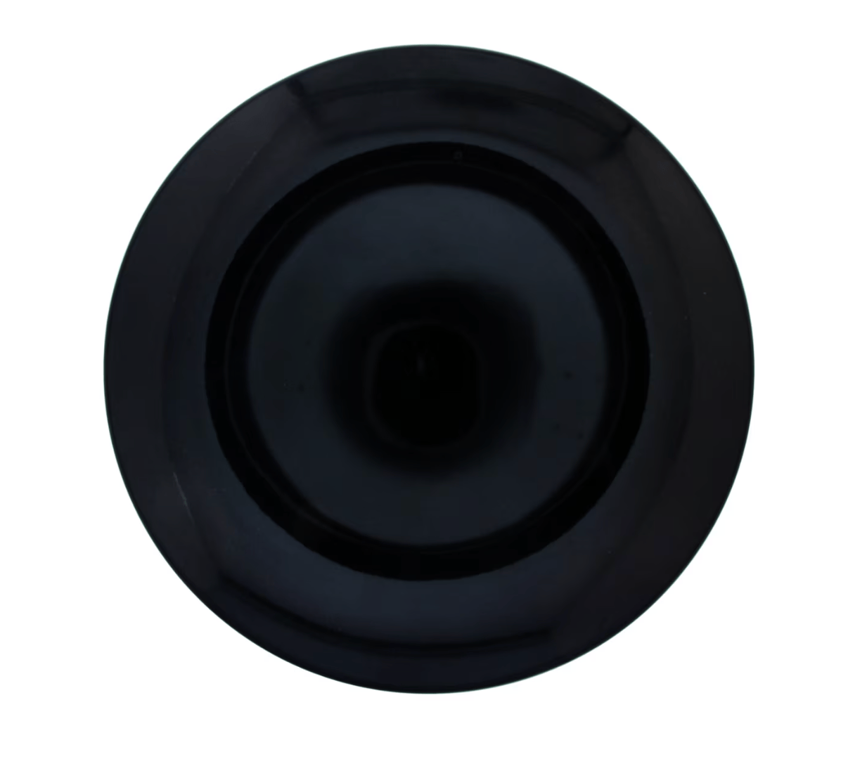 black dish