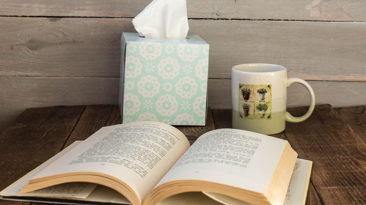 romcry books