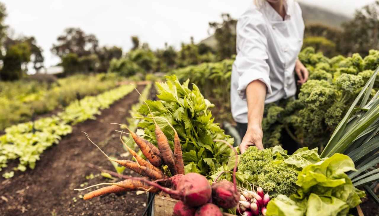 GettyImages-1346744481-What-Does-Regenerative-Organic-Certified-Mean-How-It-Compares-to-USDA-Organic-and-if-Its-Worth-Buying