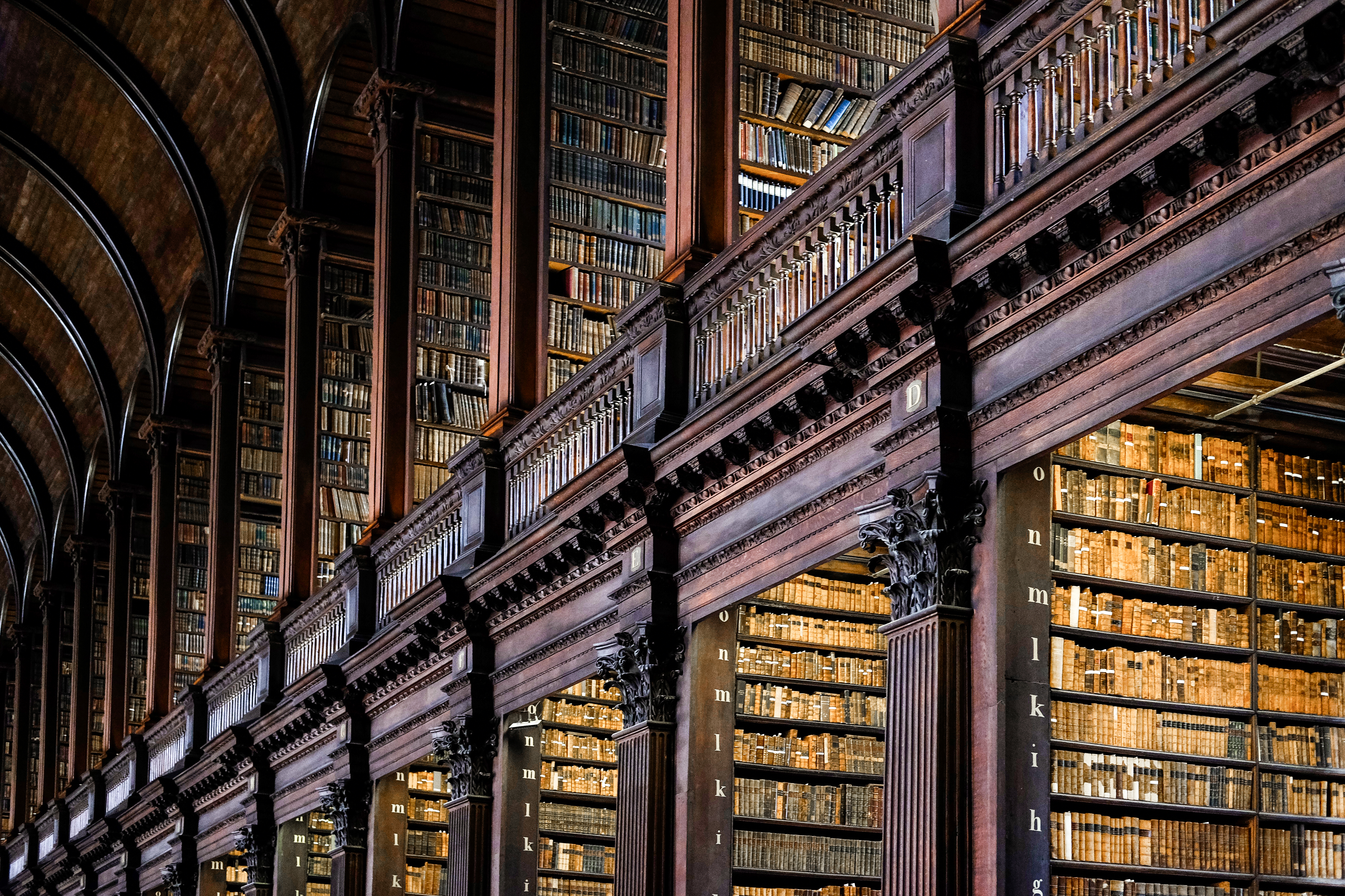 best new dark academia books fall 2026
