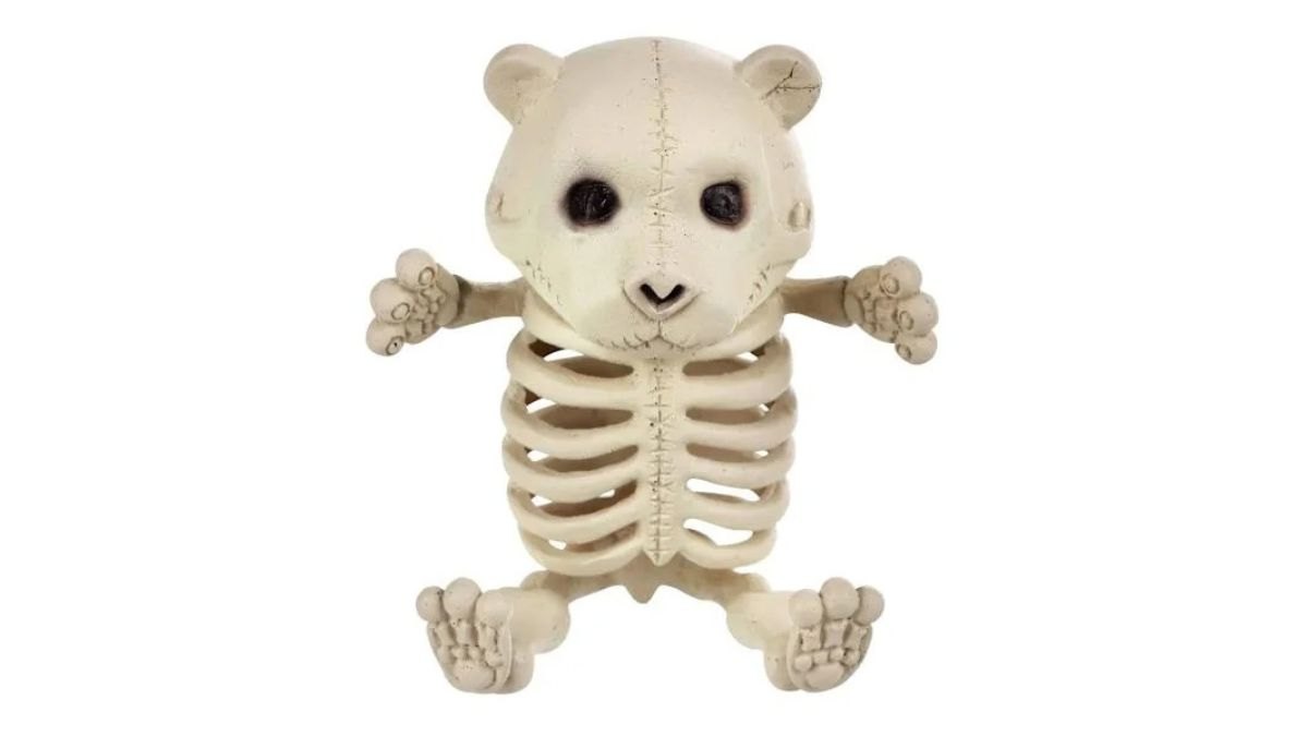 Halloween Baby Bear Skeleton