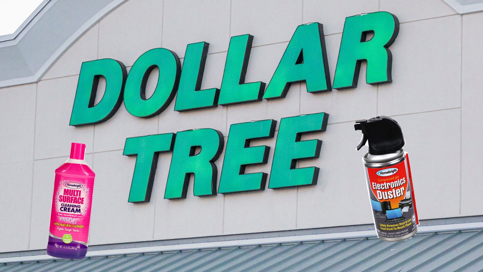 dollar tree cleaners
