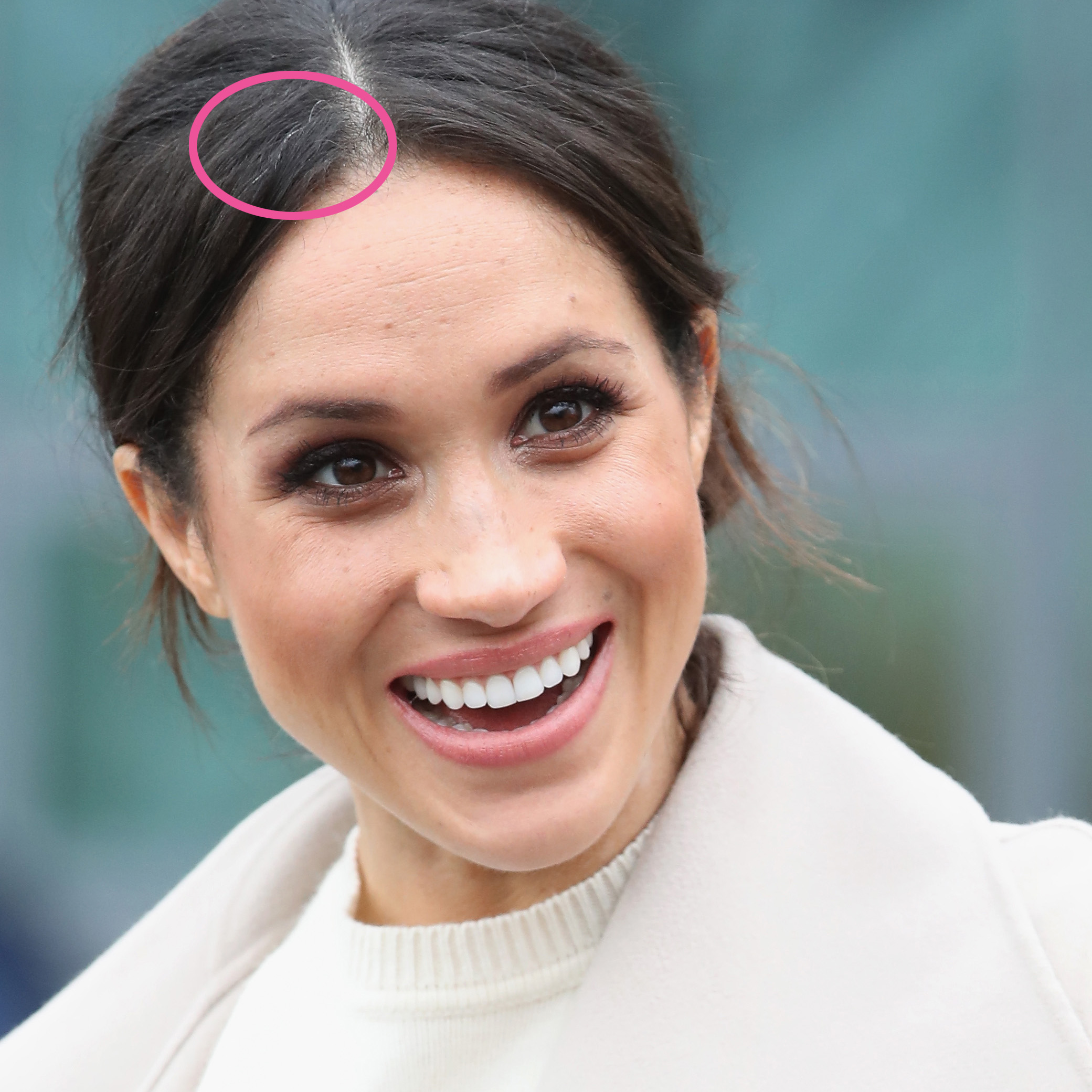 A Magazine Pointed Out Meghan Markle S One Gray Hair — And Fans Were Not Happy First For Women